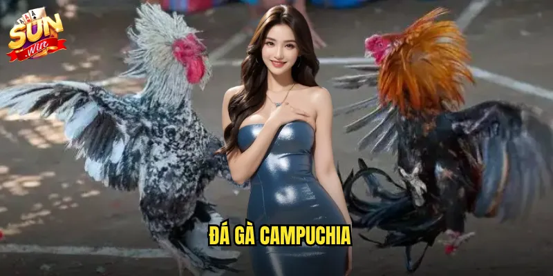 đá gà campuchia