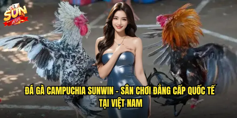 Đá gà campuchia sunwin - Sân chơi đẳng cấp quốc tế tại Việt Nam