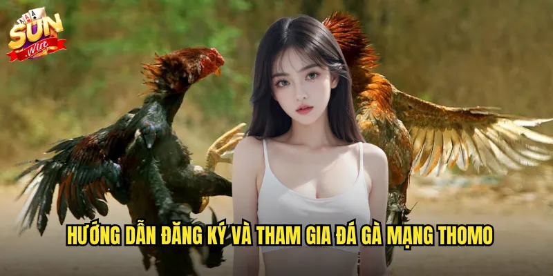 Đá gà mạng thomo sunwin - Kết nối trực tiếp với trường gà số 1 Campuchia 3 Hướng dẫn đăng ký và tham gia đá gà mạng thomo