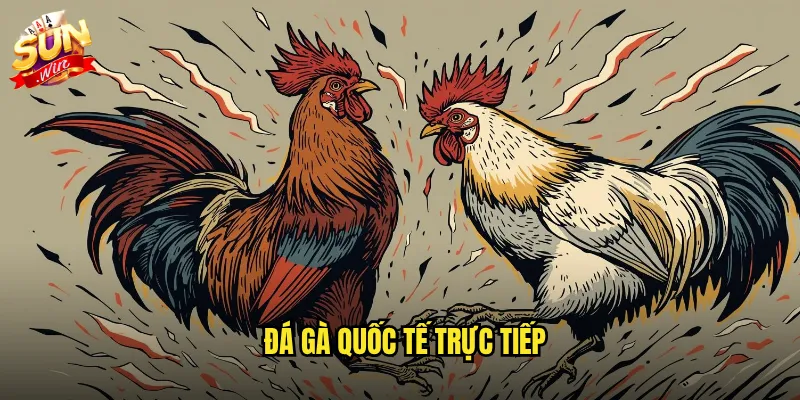 đá gà quốc tế trực tiếp