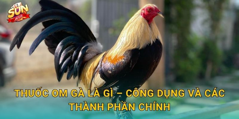 Thuốc Om Gà Là Gì – Công Dụng Và Các Thành Phần Chính