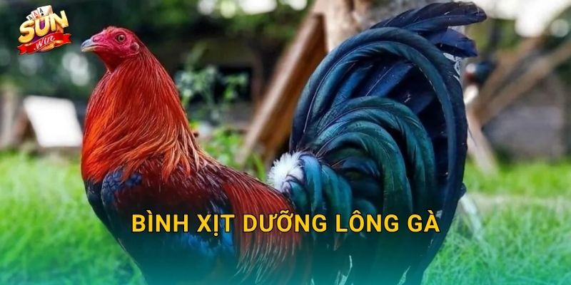 Bình Xịt Dưỡng Lông Gà Sunwin – Giữ Bộ Lông Chiến Kê Óng Mượt Và Khỏe Khoắn
