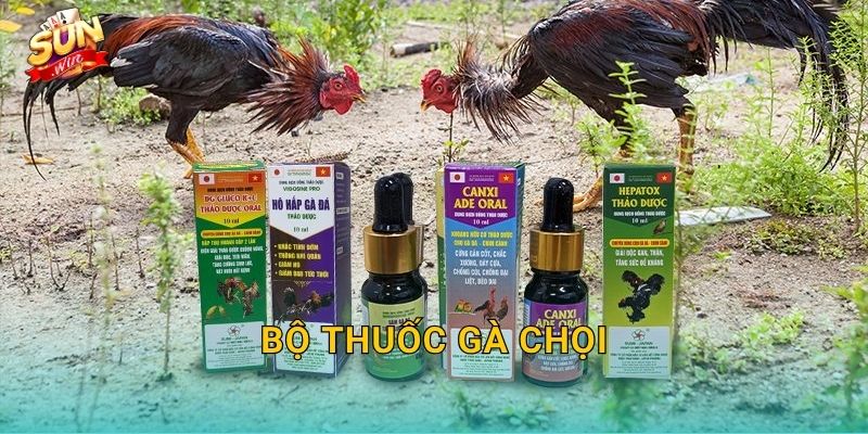 Bộ Thuốc Gà Chọi Sunwin – Trọn Bộ Dưỡng Chất Đưa Chiến Kê Lên Đỉnh Phong Độ