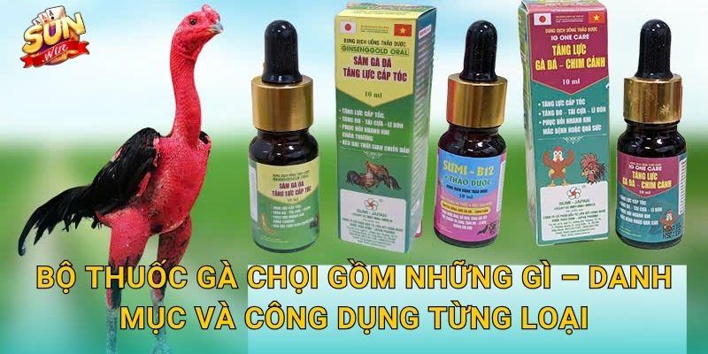Bộ Thuốc Gà Chọi Gồm Những Gì – Danh Mục Và Công Dụng Từng Loại