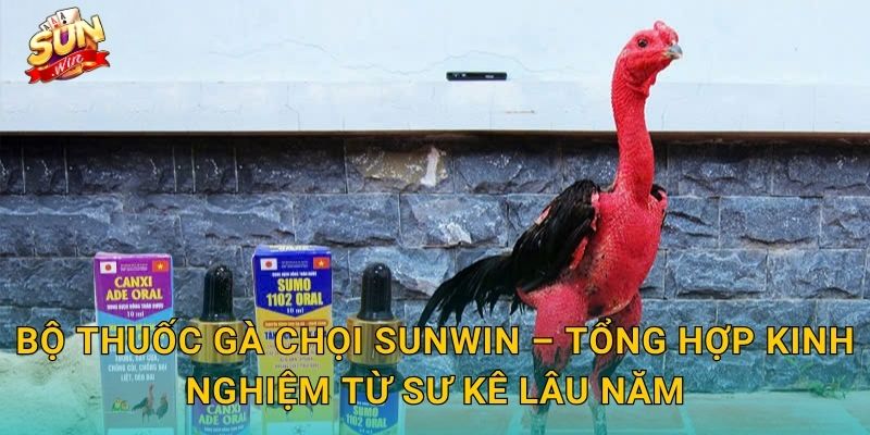 Bộ Thuốc Gà Chọi Sunwin – Tổng Hợp Kinh Nghiệm Từ Sư Kê Lâu Năm
