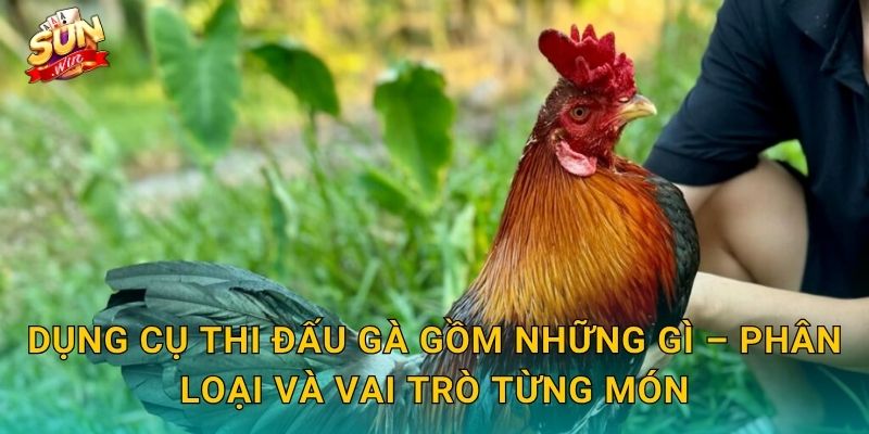 Dụng Cụ Thi Đấu Gà Gồm Những Gì – Phân Loại Và Vai Trò Từng Món