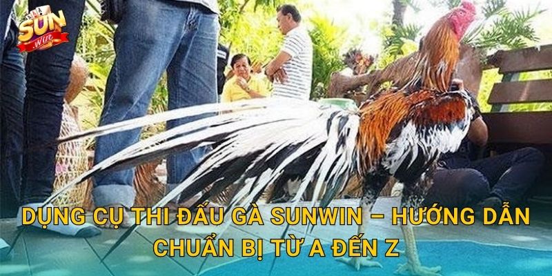 Dụng Cụ Thi Đấu Gà Sunwin – Hướng Dẫn Chuẩn Bị Từ A Đến Z