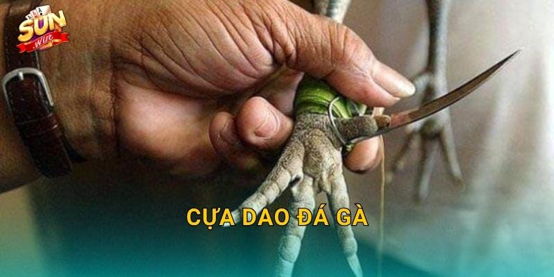 Cựa Dao Đá Gà Sunwin – Lưỡi Thép Sắc Bén Tạo Nên Những Trận Chiến Kinh Điển