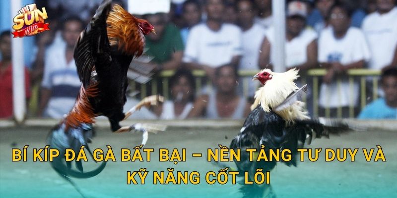 Bí Kíp Đá Gà Bất Bại – Nền Tảng Tư Duy Và Kỹ Năng Cốt Lõi