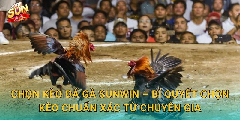 Chọn Kèo Đá Gà Sunwin – Bí Quyết Chọn Kèo Chuẩn Xác Từ Chuyên Gia